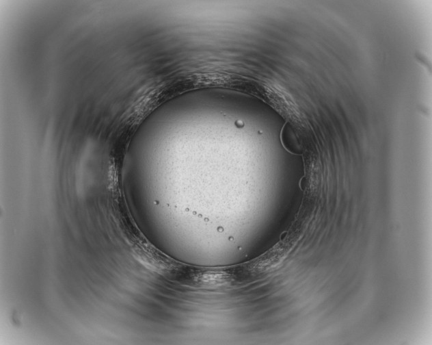 X0000096450173200802071820