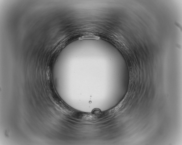 X0000096450174200802071820