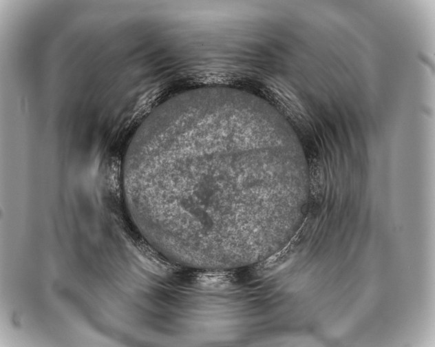 X0000096450175200802071820