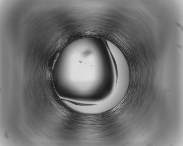 X0000096450176200802071820