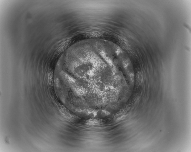 X0000096450177200802071820