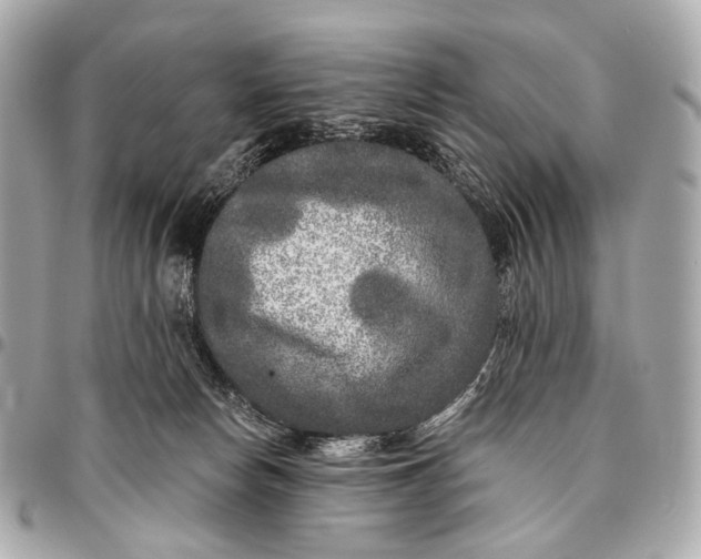 X0000096450178200802071820