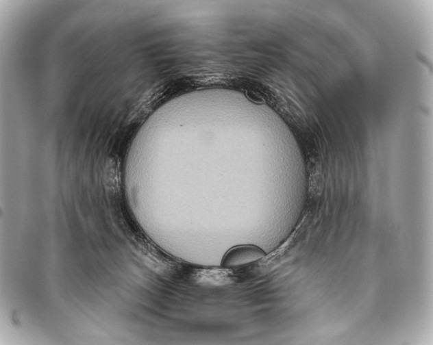 X0000096450179200802071820