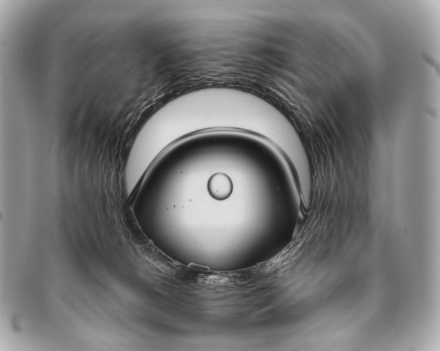 X0000096450180200802071820