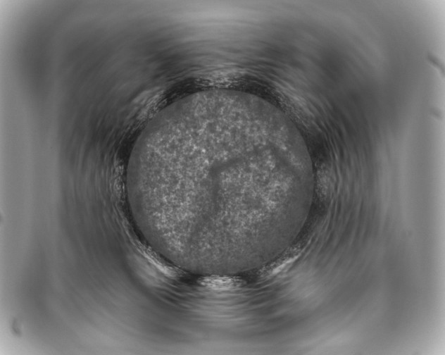 X0000096450181200802071820