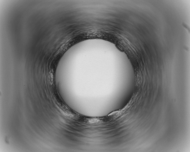 X0000096450183200802071820