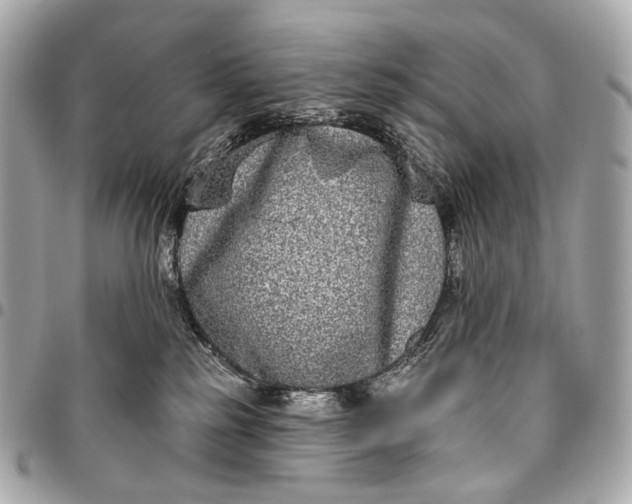 X0000096450185200802071820