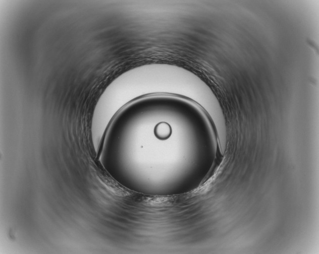 X0000096450186200802071820