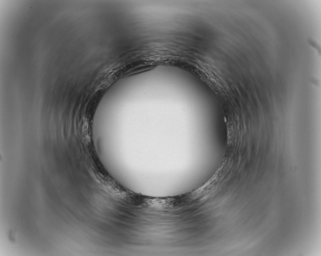 X0000096450187200802071820