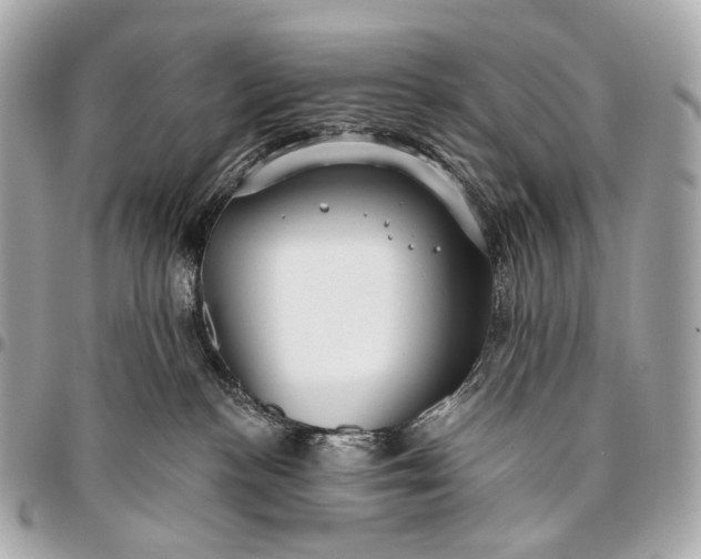 X0000096450188200802071820