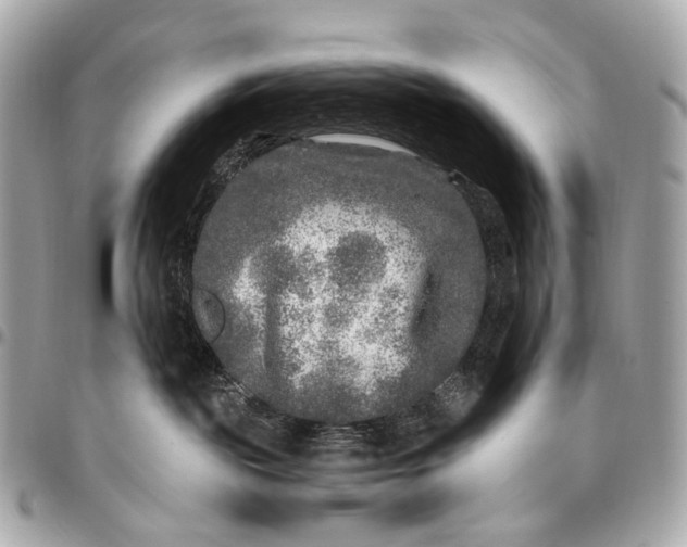 X0000096450189200802071820