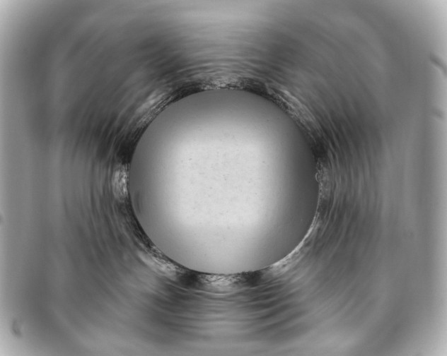 X0000096450191200802071820