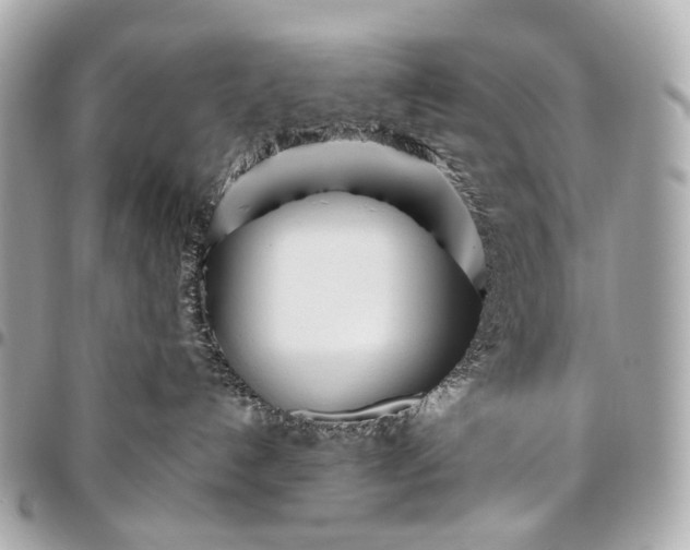 X0000096450192200802071820