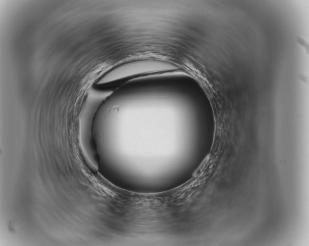 X0000096450193200802071819