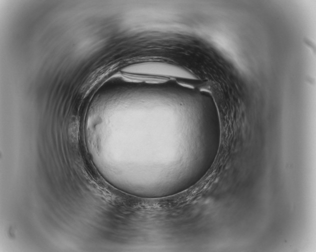 X0000096450194200802071819