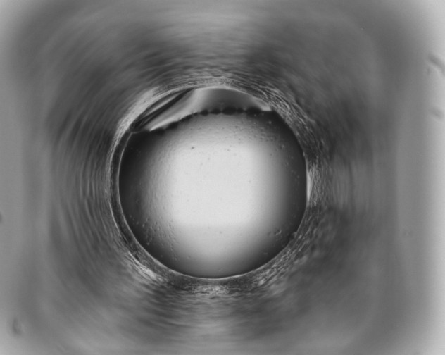 X0000096450195200802071819