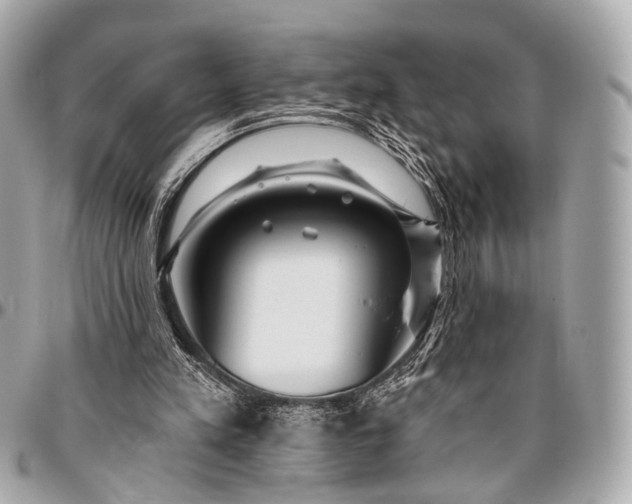 X0000096450197200802071819