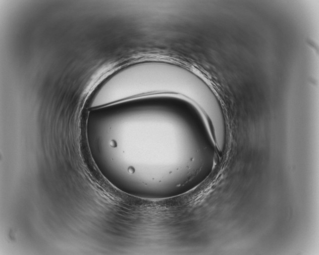 X0000096450199200802071819