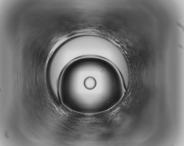 X0000096450200200802071819