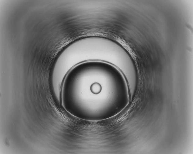 X0000096450201200802071819