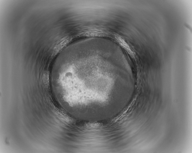 X0000096450202200802071819