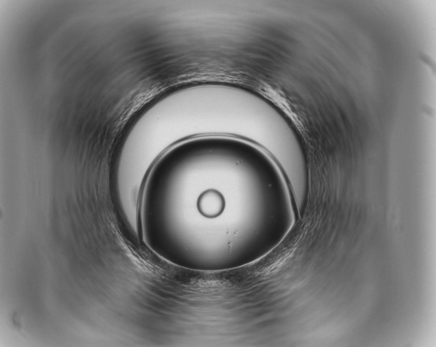 X0000096450205200802071819