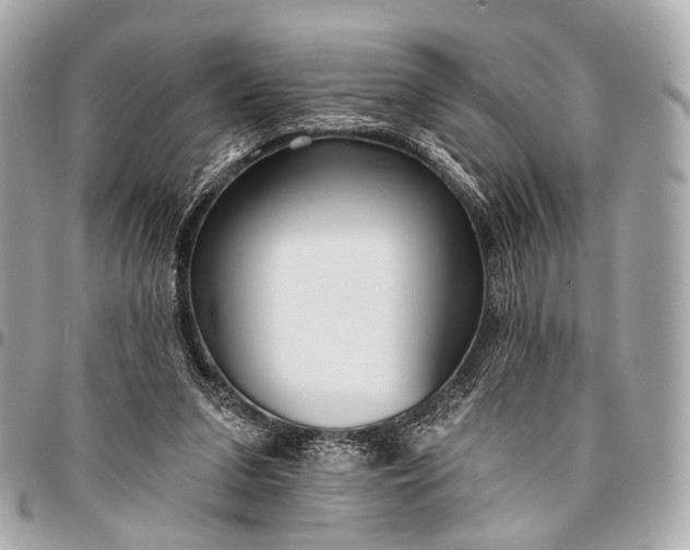 X0000096450207200802071819