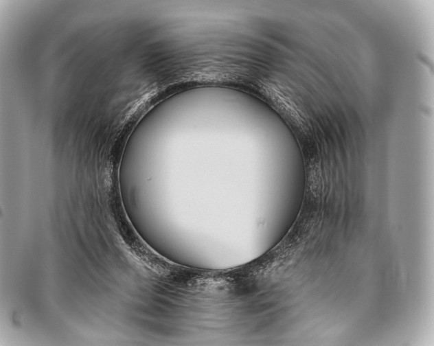 X0000096450208200802071819