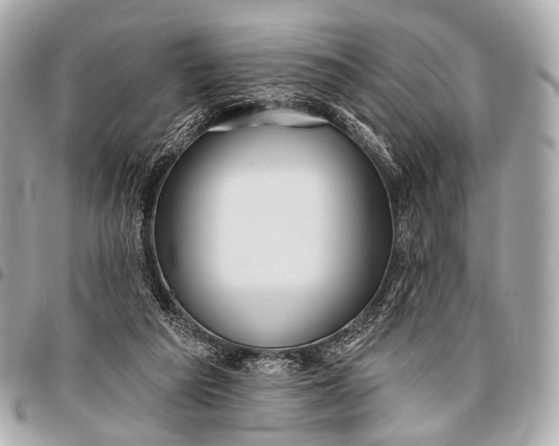 X0000096450209200802071819