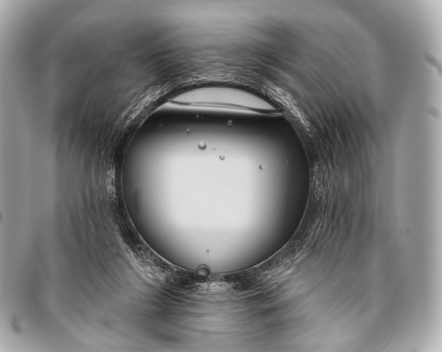 X0000096450212200802071819