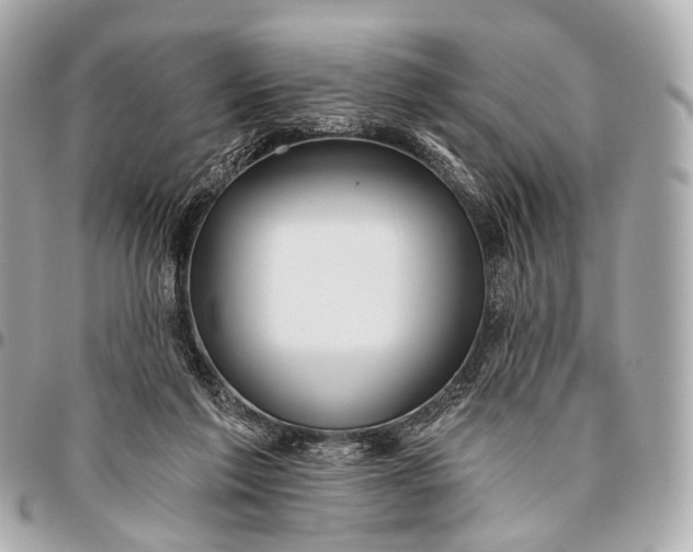 X0000096450213200802071819