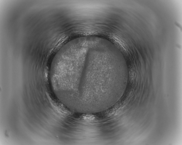 X0000096450214200802071819