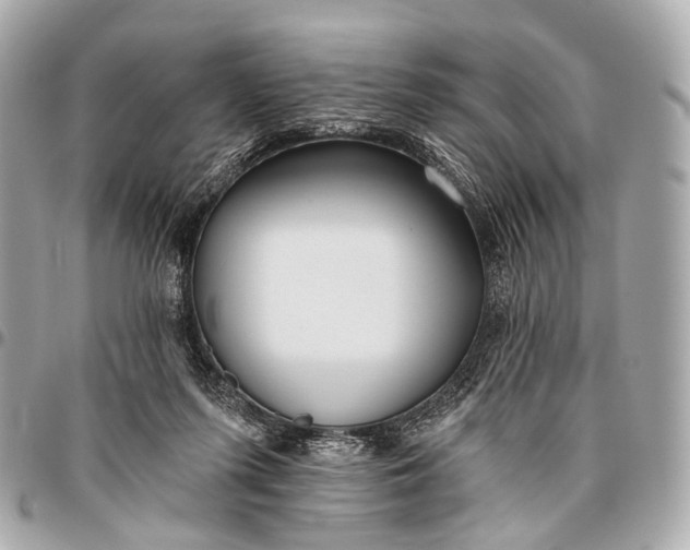 X0000096450215200802071819