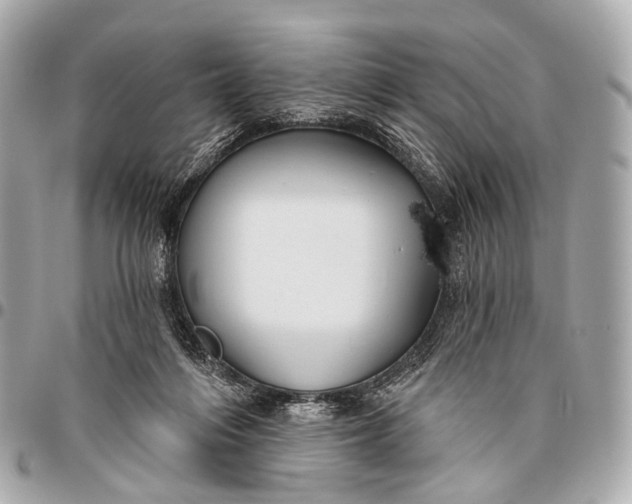 X0000096450216200802071819