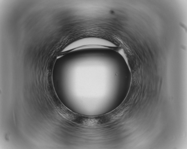 X0000096450217200802071819