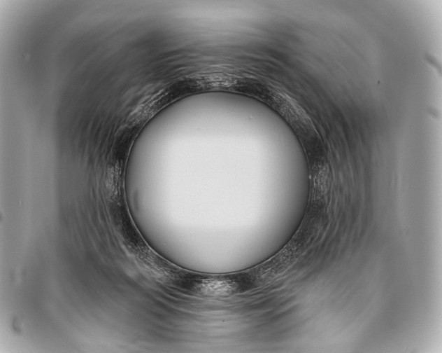 X0000096450218200802071819