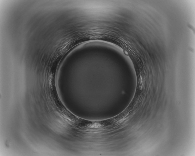 X0000096450219200802071819