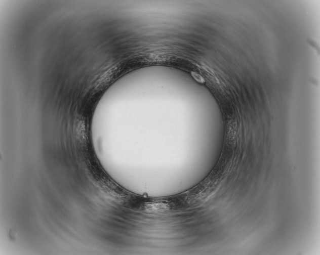 X0000096450220200802071819