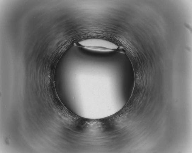 X0000096450221200802071819