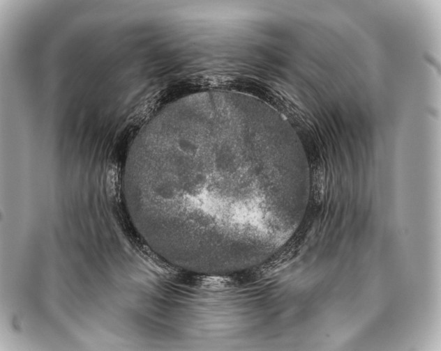 X0000096450222200802071819