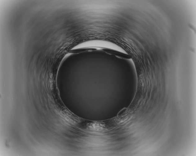 X0000096450223200802071819