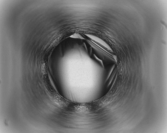 X0000096450224200802071819