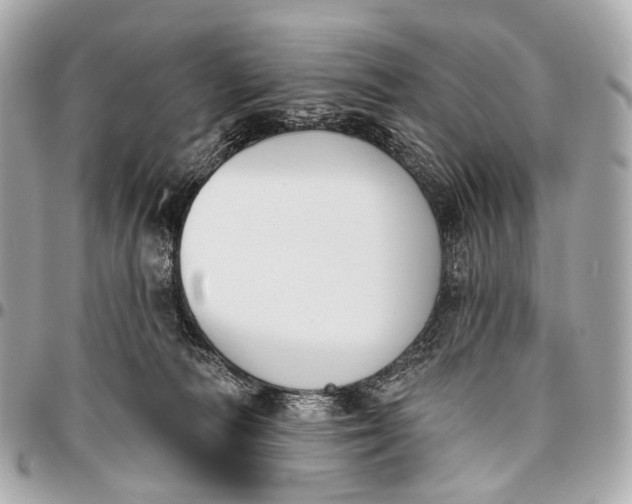 X0000096450226200802071819