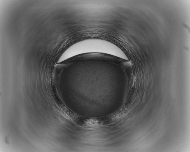 X0000096450227200802071819