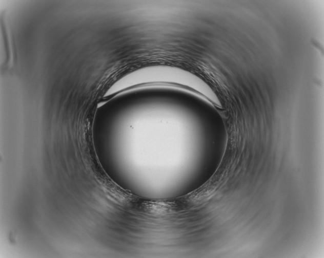 X0000096450229200802071819