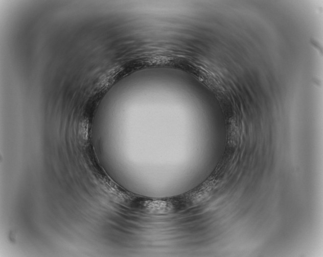 X0000096450230200802071819