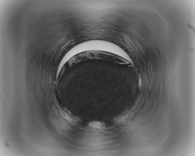 X0000096450231200802071819