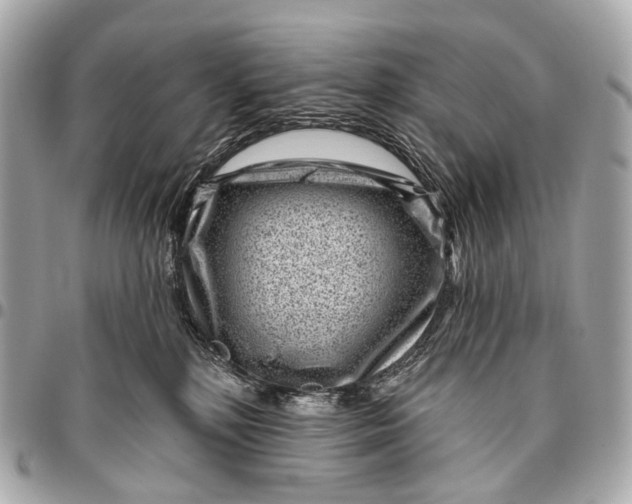 X0000096450232200802071819