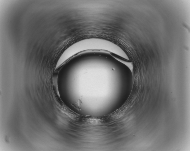 X0000096450233200802071819