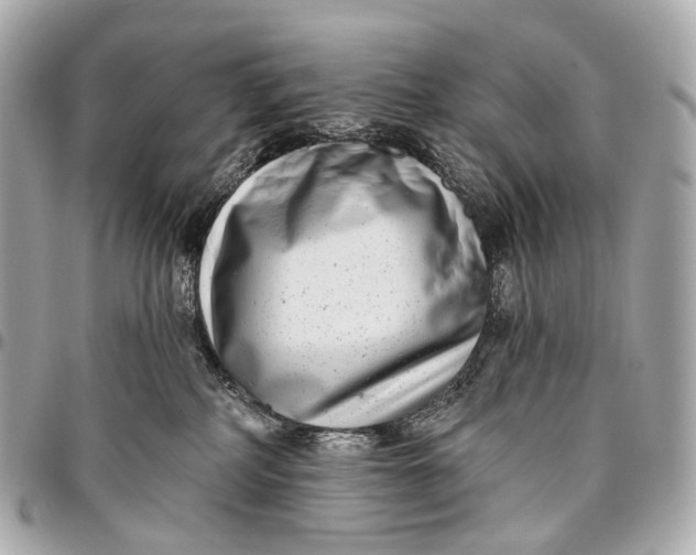 X0000096450234200802071819